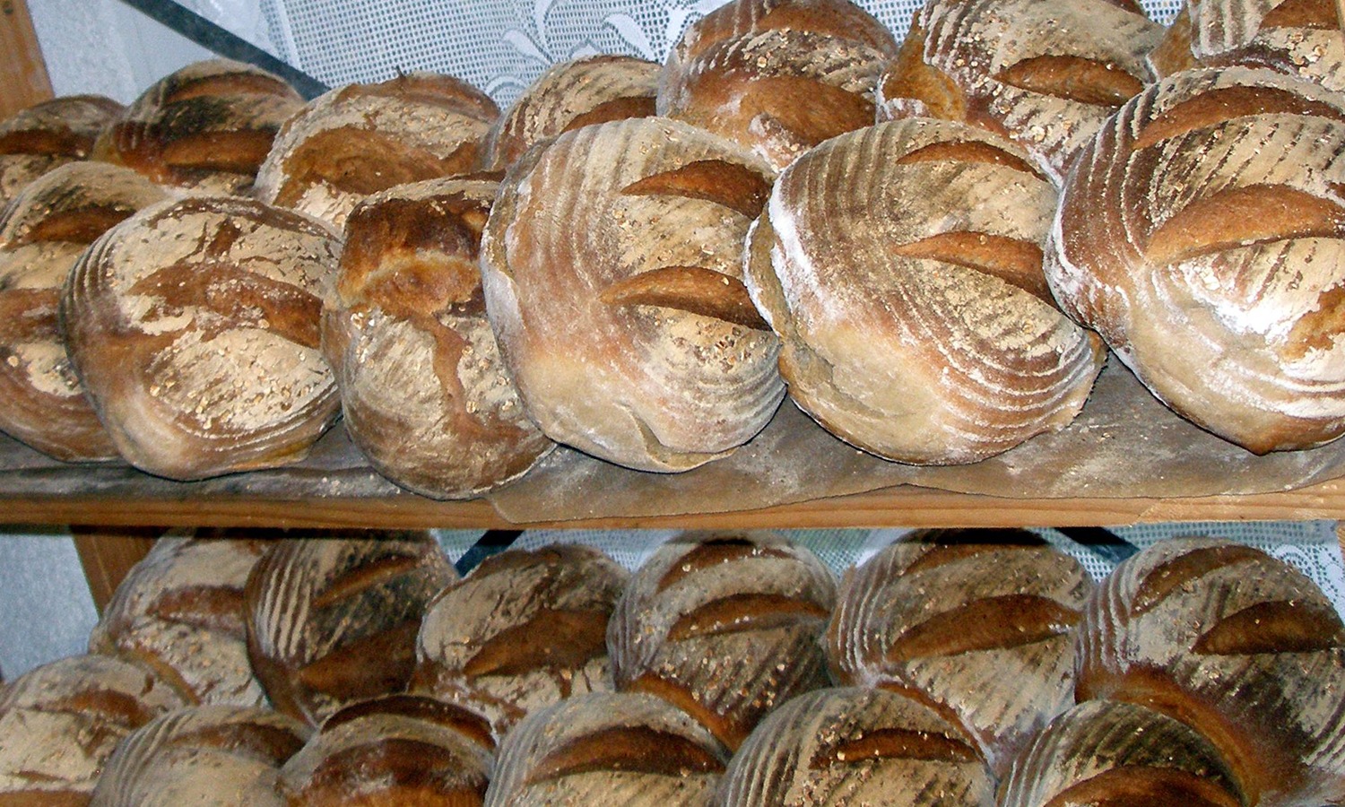 Frisch gebackene Brote