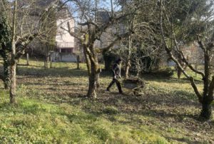 Arbeitseinsatz Schlossbuckel_20260124_005