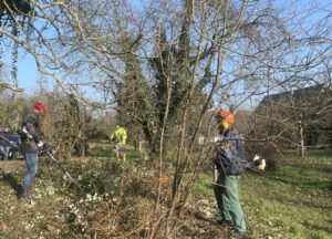 Arbeitseinsatz Schlossbuckel_20260124_006