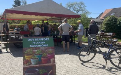 Pflanzentauschbörse OGV-Staffort